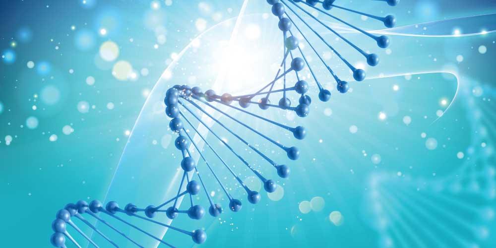 Epigenética y nutrición… ¿cómo se relacionan?